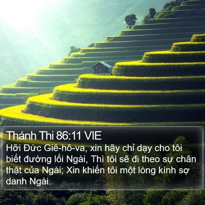 Thánh Thi 86:11 VIE Bible Verse Image
