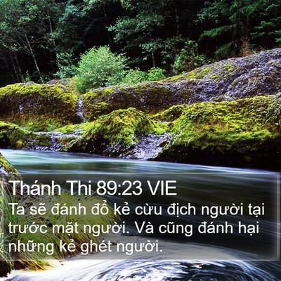 Thánh Thi 89:23 VIE Bible Verse Image