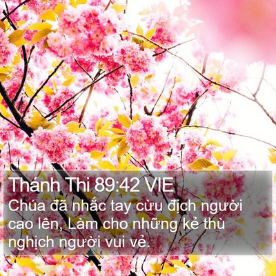 Thánh Thi 89:42 VIE Bible Verse Image
