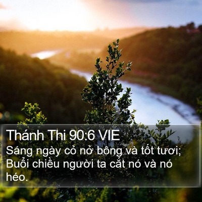 Thánh Thi 90:6 VIE Bible Verse Image