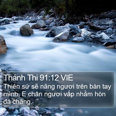 Thánh Thi 91:12 VIE Bible Verse Image