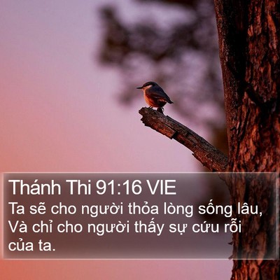 Thánh Thi 91:16 VIE Bible Verse Image