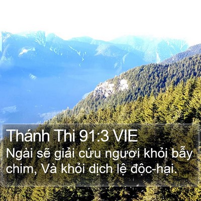 Thánh Thi 91:3 VIE Bible Verse Image