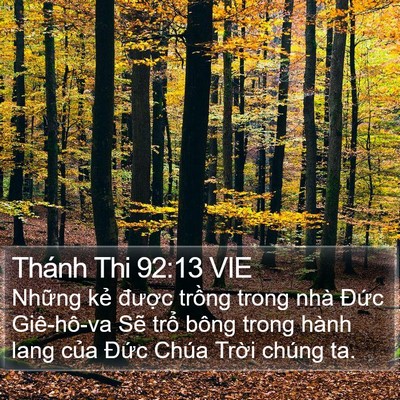 Thánh Thi 92:13 VIE Bible Verse Image