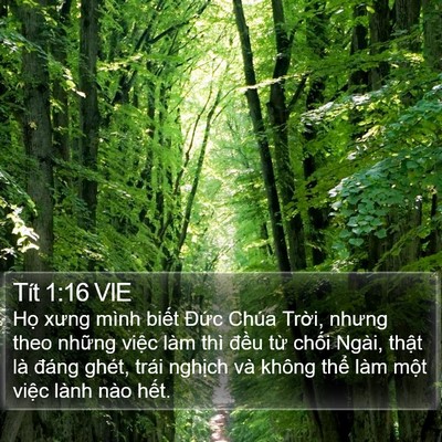 Tít 1:16 VIE Bible Verse Image
