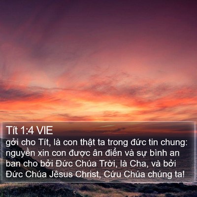 Tít 1:4 VIE Bible Verse Image