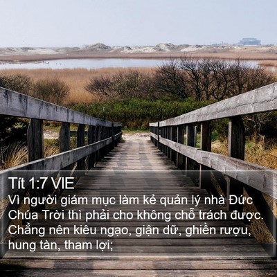 Tít 1:7 VIE Bible Verse Image