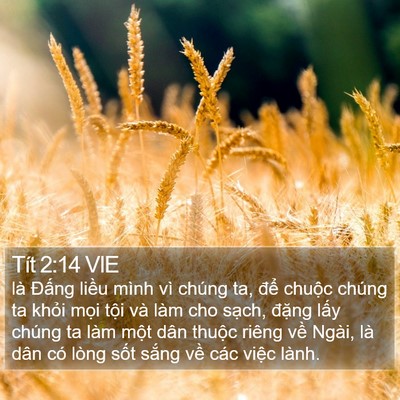 Tít 2:14 VIE Bible Verse Image