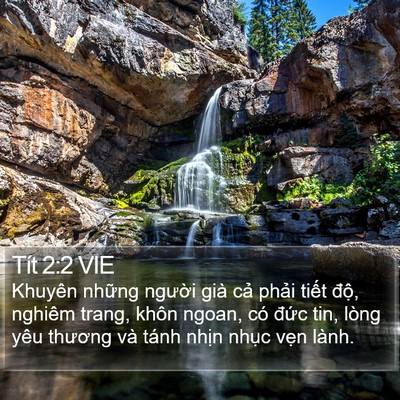 Tít 2:2 VIE Bible Verse Image