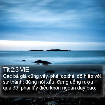 Tít 2:3 VIE Bible Verse Image