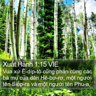 Xuất Hành 1:15 VIE Bible Verse Image