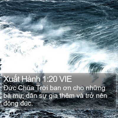 Xuất Hành 1:20 VIE Bible Verse Image