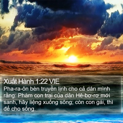 Xuất Hành 1:22 VIE Bible Verse Image