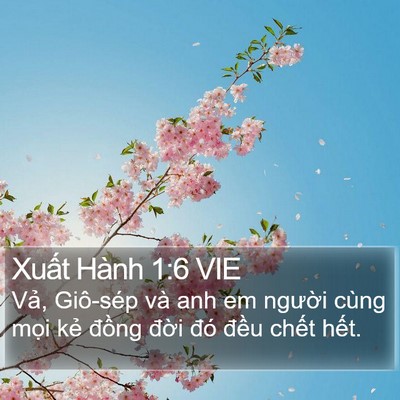 Xuất Hành 1:6 VIE Bible Verse Image