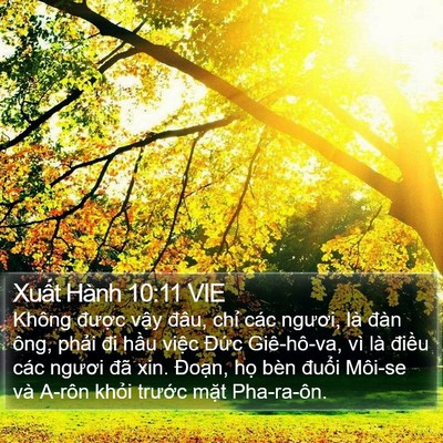 Xuất Hành 10:11 VIE Bible Verse Image