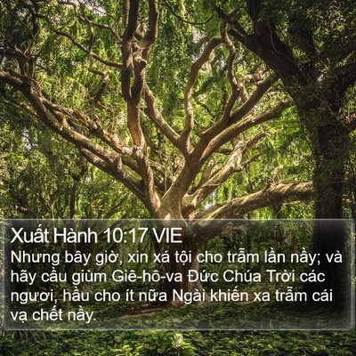 Xuất Hành 10:17 VIE Bible Verse Image