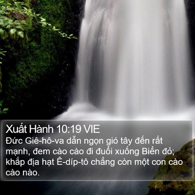 Xuất Hành 10:19 VIE Bible Verse Image