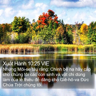 Xuất Hành 10:25 VIE Bible Verse Image