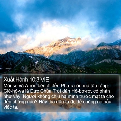 Xuất Hành 10:3 VIE Bible Verse Image