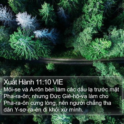 Xuất Hành 11:10 VIE Bible Verse Image