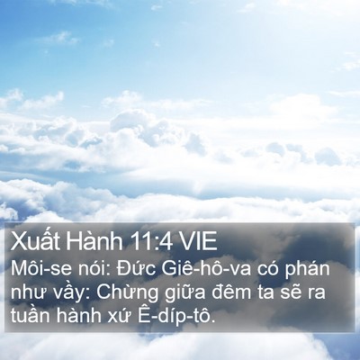 Xuất Hành 11:4 VIE Bible Verse Image