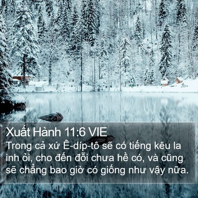Xuất Hành 11:6 VIE Bible Verse Image