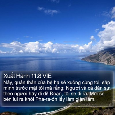 Xuất Hành 11:8 VIE Bible Verse Image