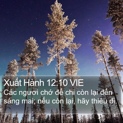 Xuất Hành 12:10 VIE Bible Verse Image