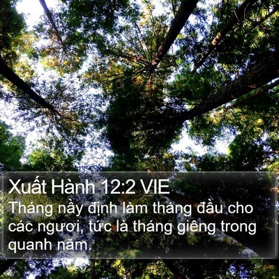 Xuất Hành 12:2 VIE Bible Verse Image