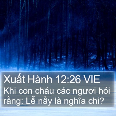 Xuất Hành 12:26 VIE Bible Verse Image