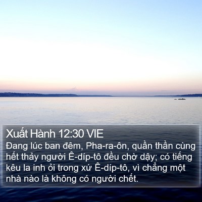 Xuất Hành 12:30 VIE Bible Verse Image