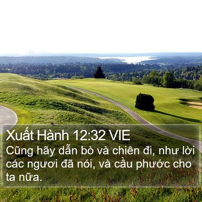 Xuất Hành 12:32 VIE Bible Verse Image