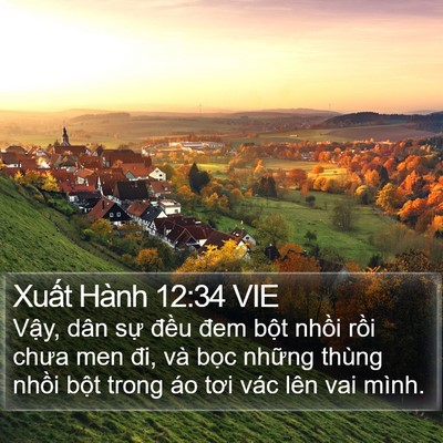 Xuất Hành 12:34 VIE Bible Verse Image