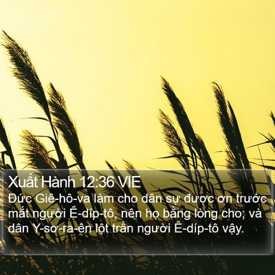 Xuất Hành 12:36 VIE Bible Verse Image