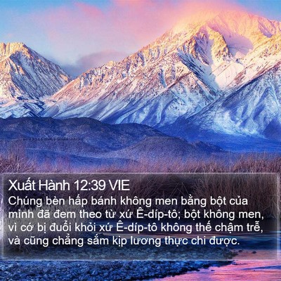 Xuất Hành 12:39 VIE Bible Verse Image