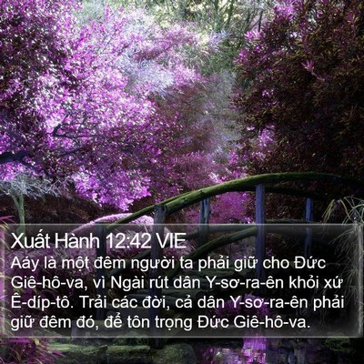 Xuất Hành 12:42 VIE Bible Verse Image