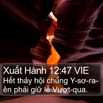 Xuất Hành 12:47 VIE Bible Verse Image