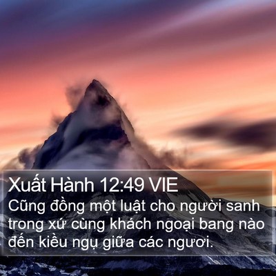 Xuất Hành 12:49 VIE Bible Verse Image