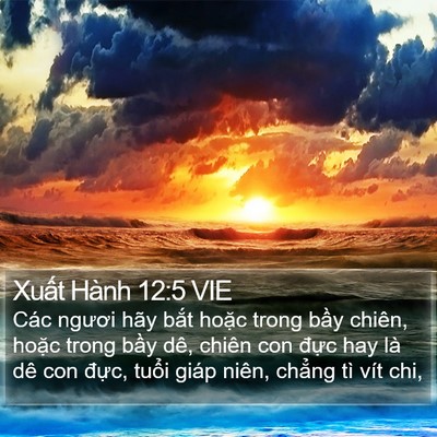 Xuất Hành 12:5 VIE Bible Verse Image