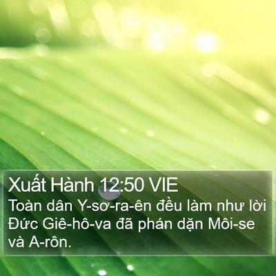 Xuất Hành 12:50 VIE Bible Verse Image