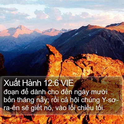 Xuất Hành 12:6 VIE Bible Verse Image