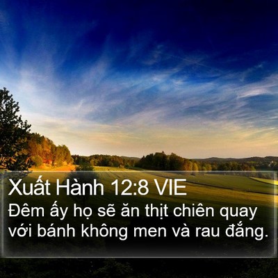Xuất Hành 12:8 VIE Bible Verse Image