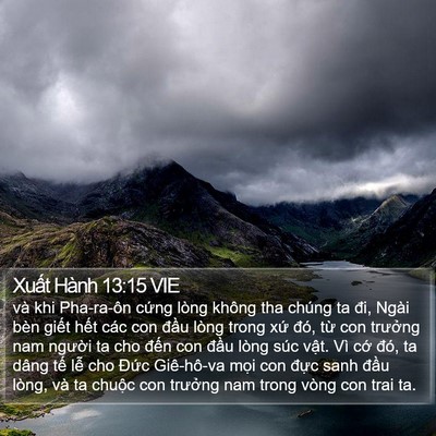 Xuất Hành 13:15 VIE Bible Verse Image