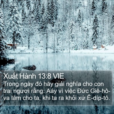 Xuất Hành 13:8 VIE Bible Verse Image