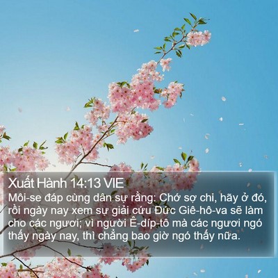 Xuất Hành 14:13 VIE Bible Verse Image