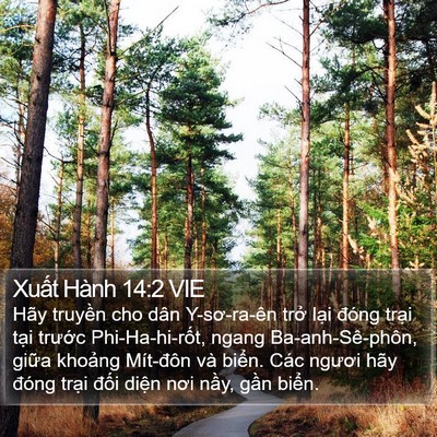 Xuất Hành 14:2 VIE Bible Verse Image