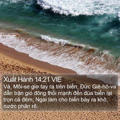Xuất Hành 14:21 VIE Bible Verse Image
