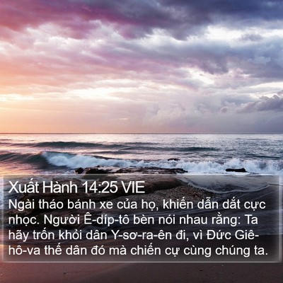 Xuất Hành 14:25 VIE Bible Verse Image
