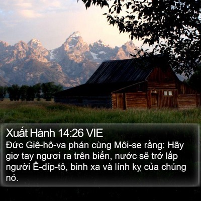 Xuất Hành 14:26 VIE Bible Verse Image