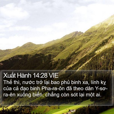 Xuất Hành 14:28 VIE Bible Verse Image
